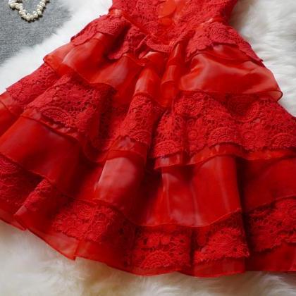 Lace Embroidered Organza Dress Jfl