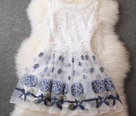 4610759 Off-White Embroidered Lace Dress main image 1